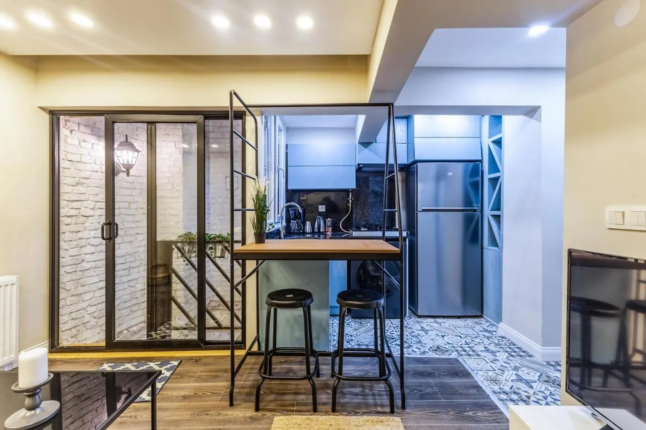 Located Flat Apartment Istanbul Turkey